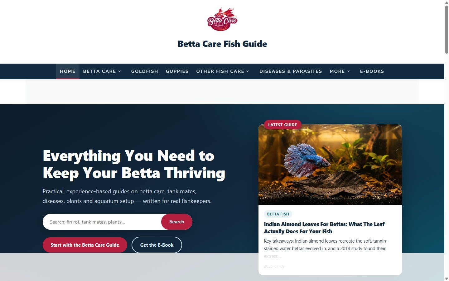 Betta Care Fish Guide